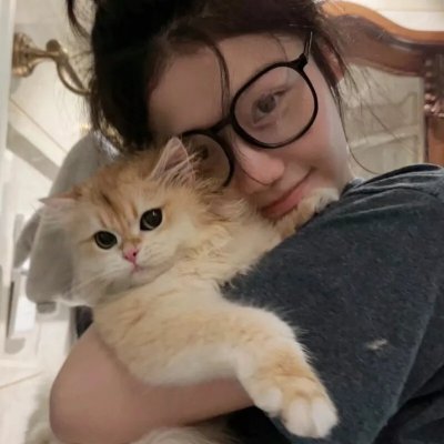 莉莉小姐的超完美日记